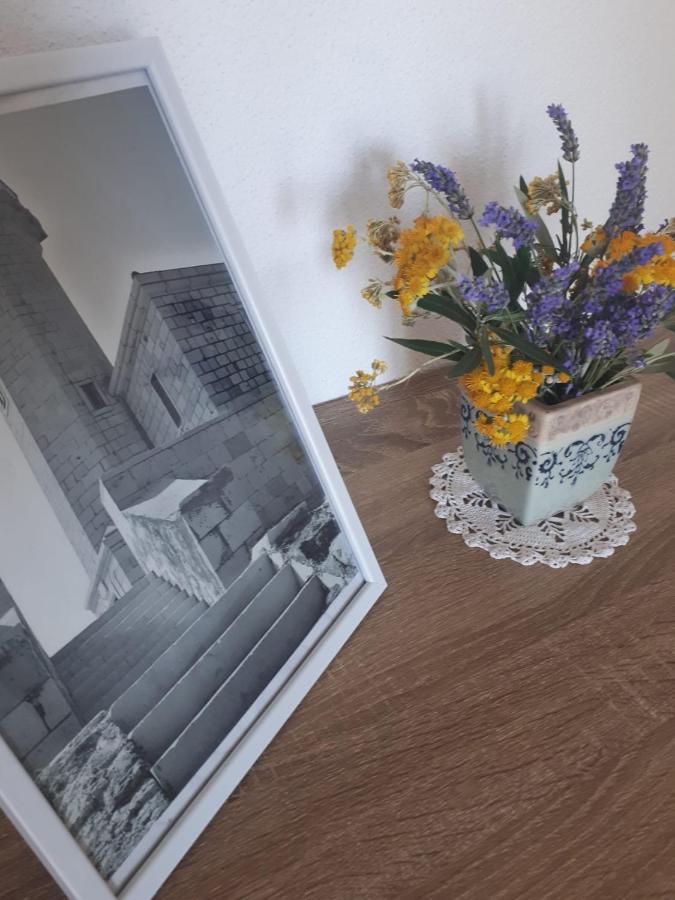 רוגוזניצה Apartments Starshine & Lighthouse מראה חיצוני תמונה