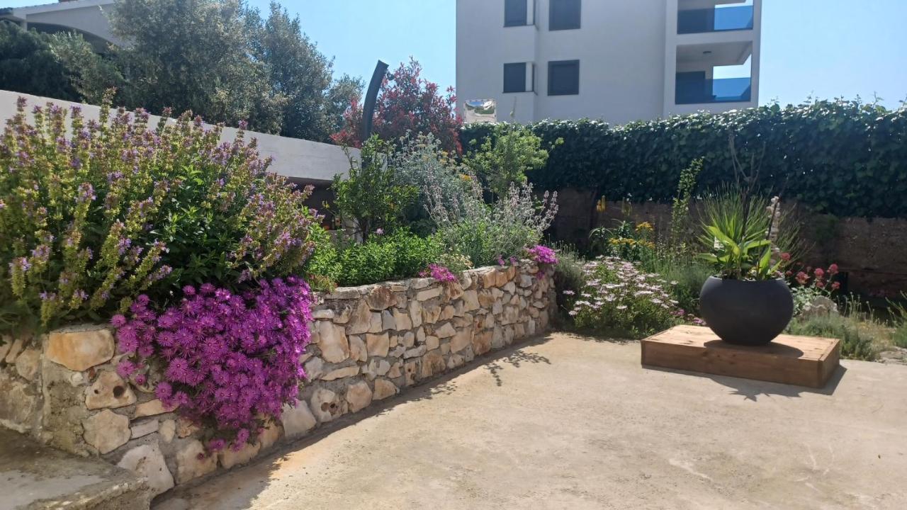 רוגוזניצה Apartments Starshine & Lighthouse מראה חיצוני תמונה